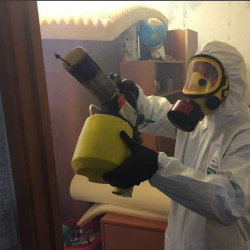 Уничтожение клопов в квартире. Чкаловская